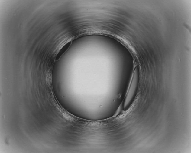 X0000096390897200802141452