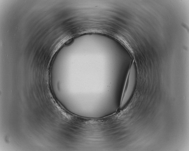X0000096390898200802141452