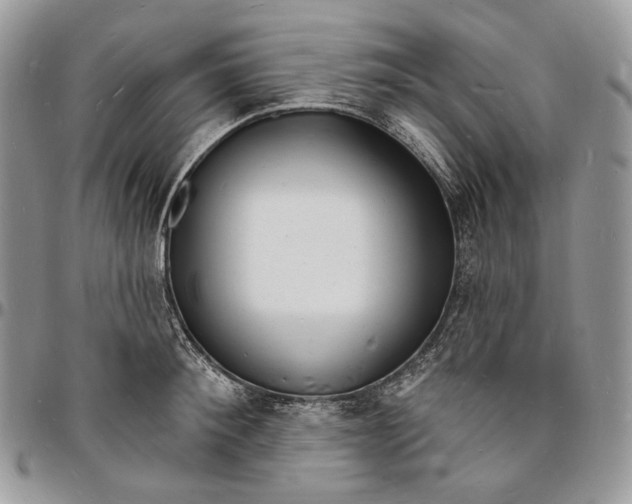 X0000096390900200802141452