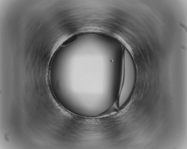 X0000096390901200802141452