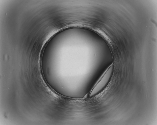 X0000096390902200802141452