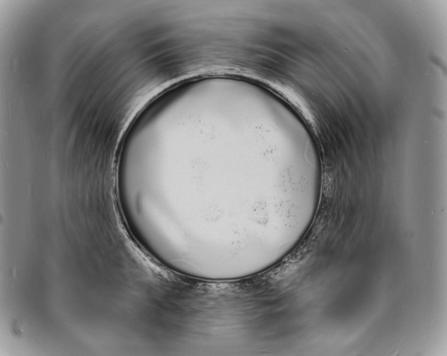 X0000096390903200802141452