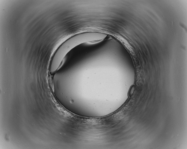 X0000096390904200802141452