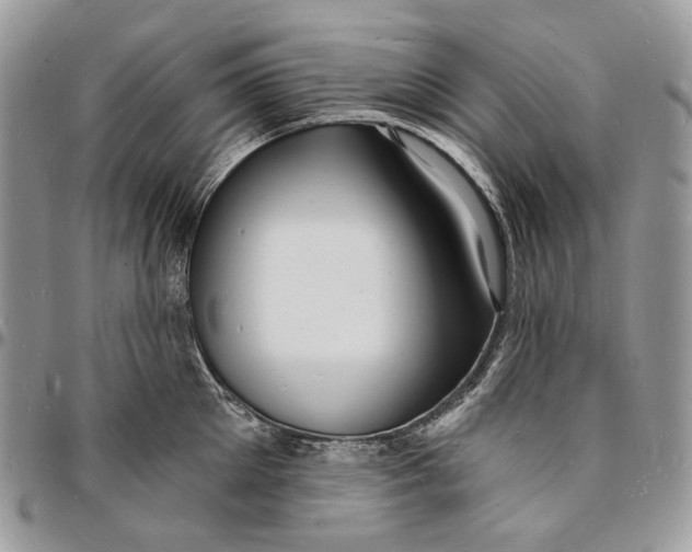 X0000096390905200802141452