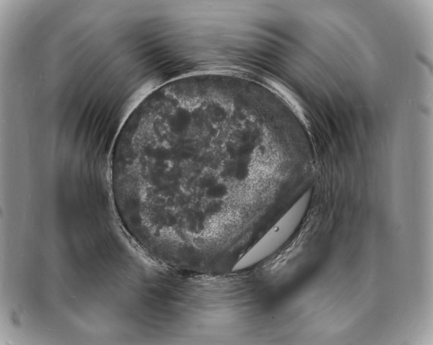 X0000096390907200802141452