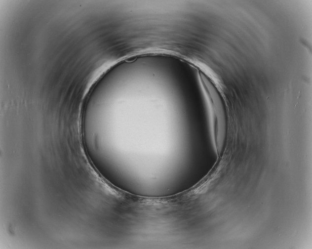 X0000096390910200802141452