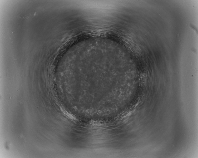 X0000096390913200802141451