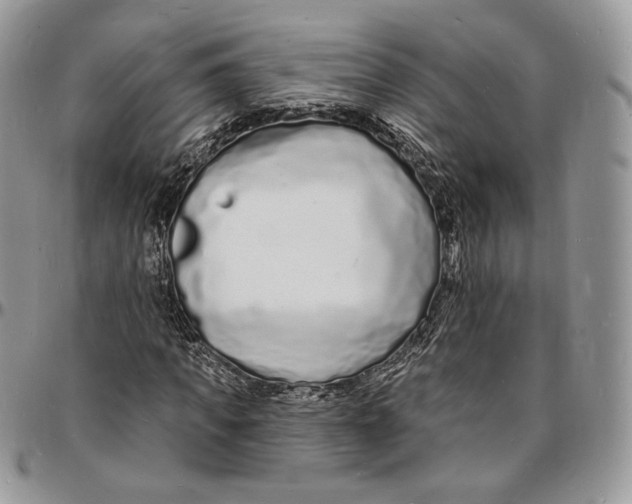 X0000096390917200802141451
