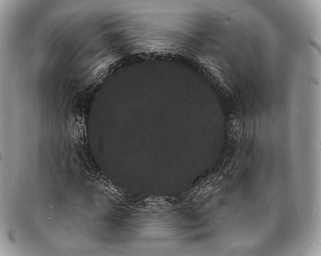 X0000096390918200802141451