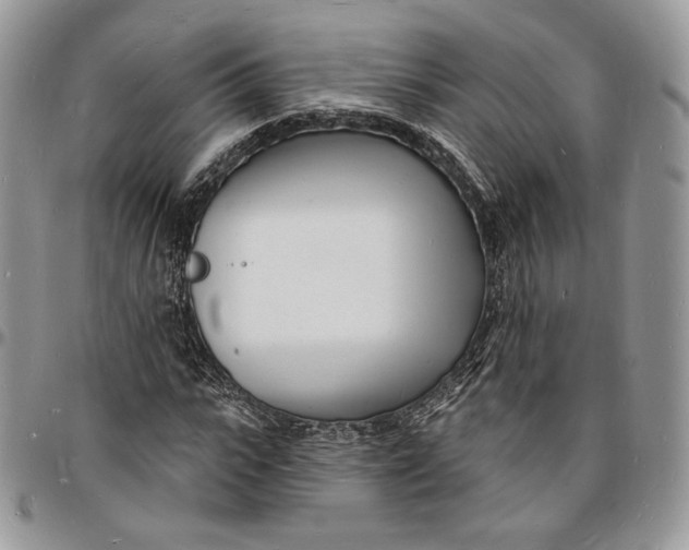 X0000096390919200802141451