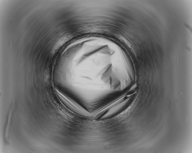 X0000096390922200802141451