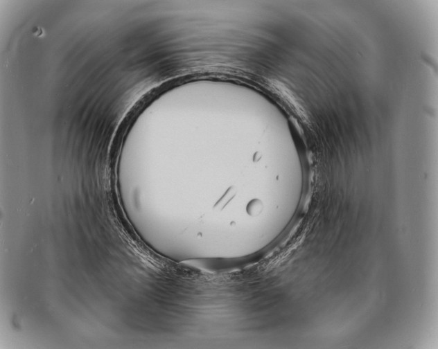 X0000096390924200802141451