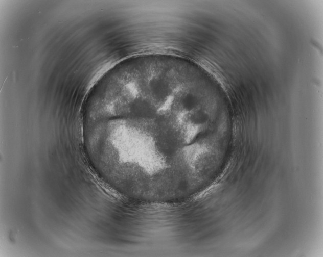 X0000096390925200802141451