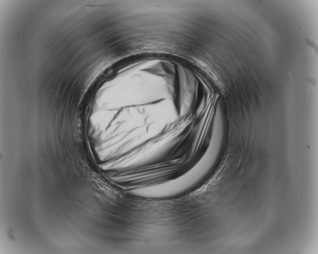 X0000096390926200802141451