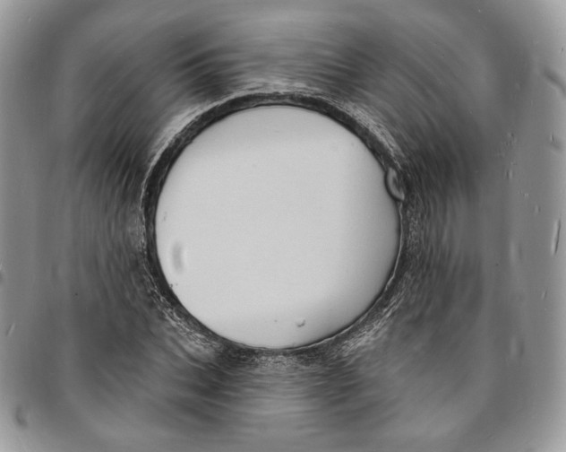 X0000096390927200802141451