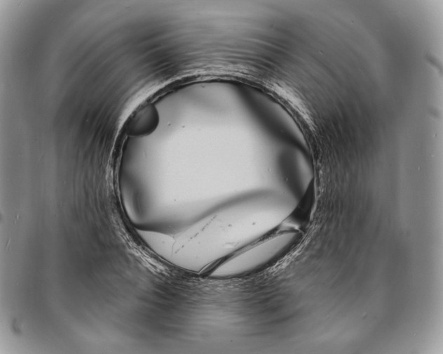 X0000096390928200802141451