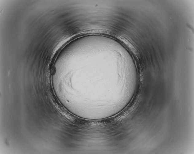 X0000096390933200802141452