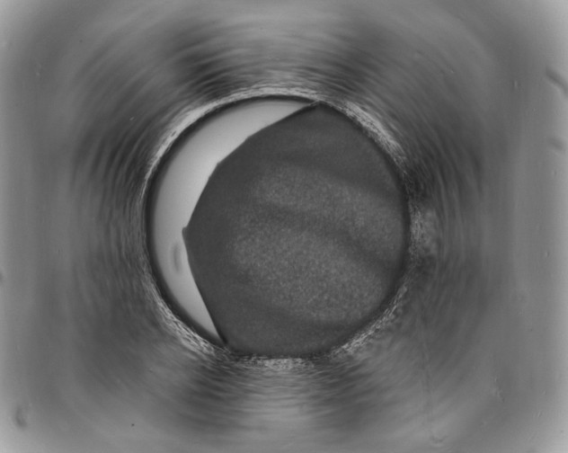 X0000096390934200802141452