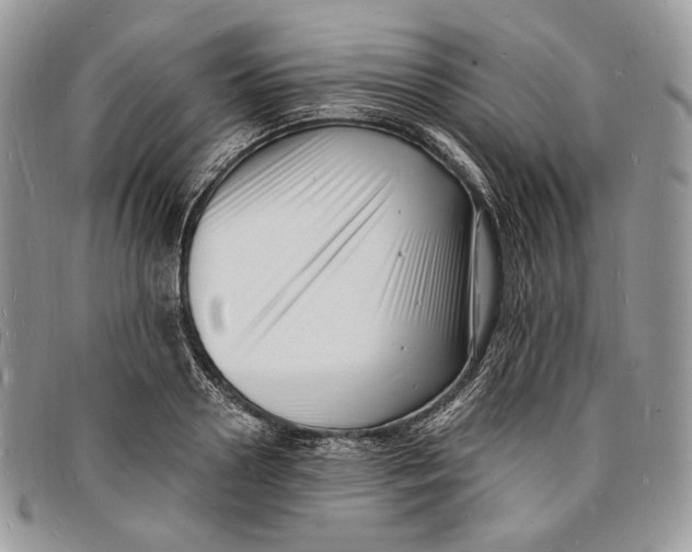 X0000096390938200802141452