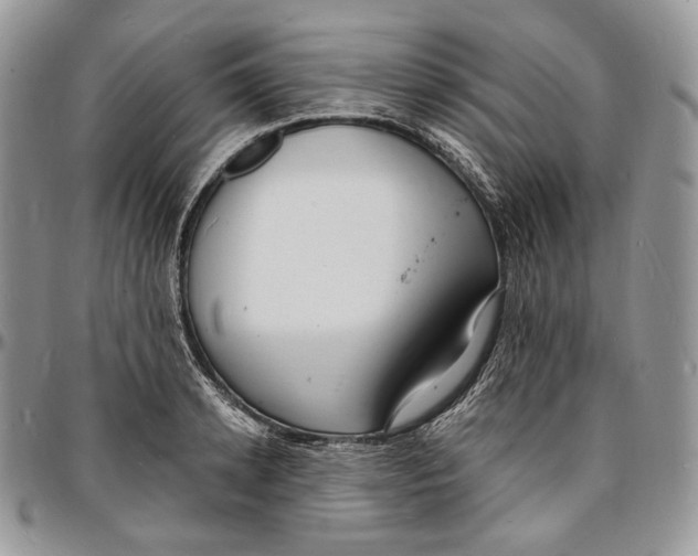 X0000096390942200802141452
