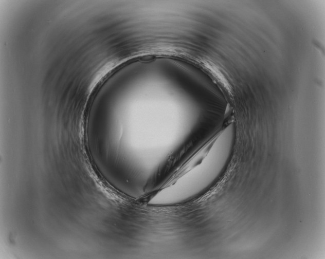 X0000096390944200802141452