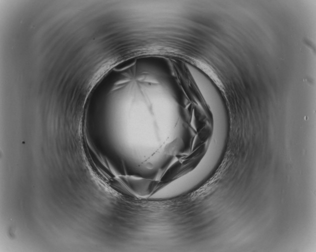 X0000096390946200802141452