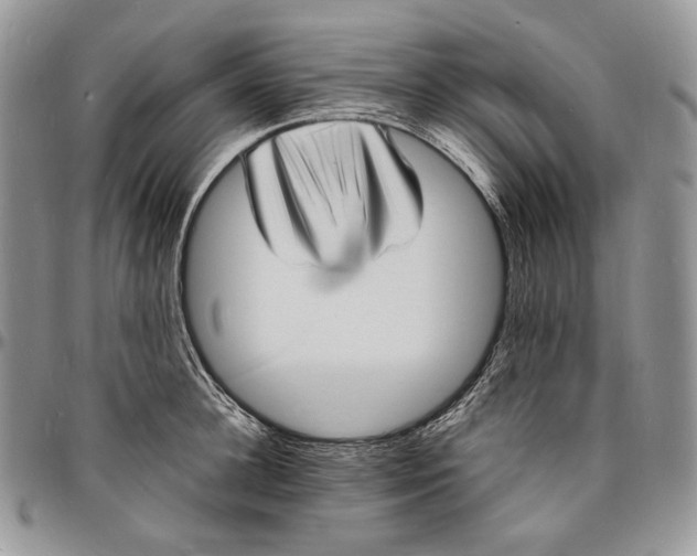 X0000096390948200802141452