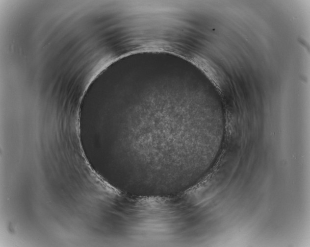 X0000096390950200802141452
