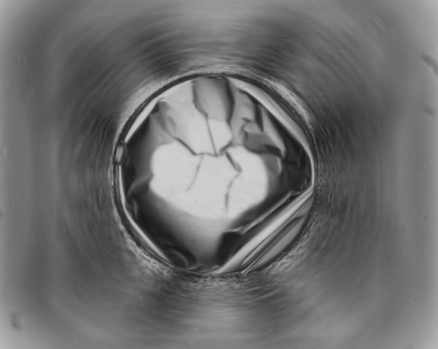 X0000096390951200802141452