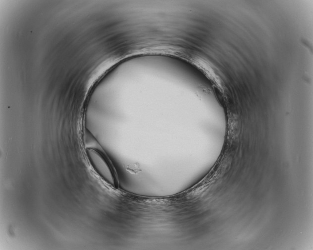 X0000096390952200802141452