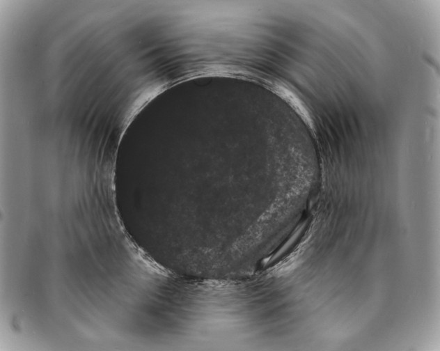 X0000096390954200802141452