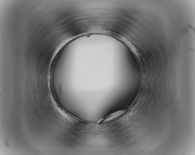 X0000096390955200802141452