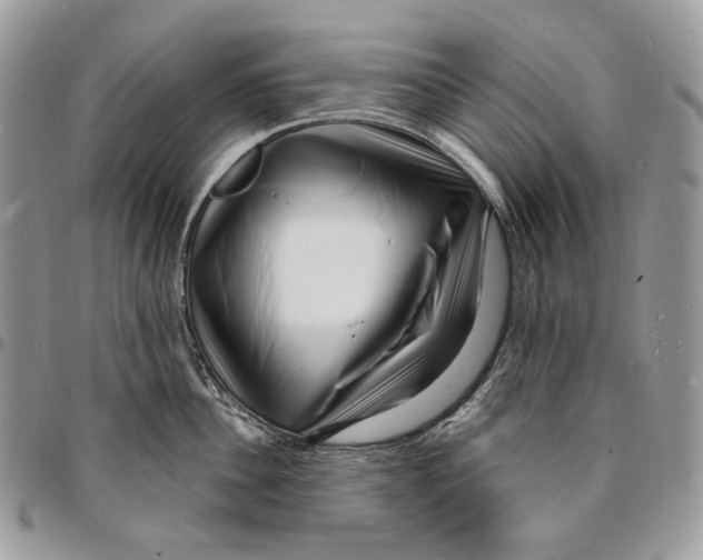 X0000096390956200802141452