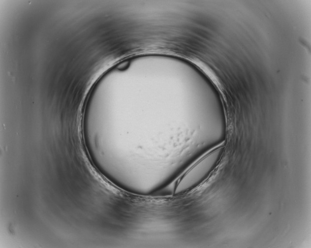 X0000096390957200802141452