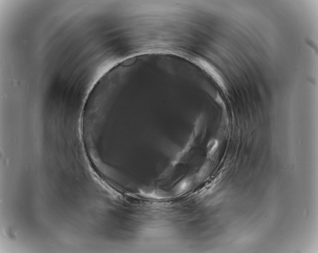 X0000096390958200802141452