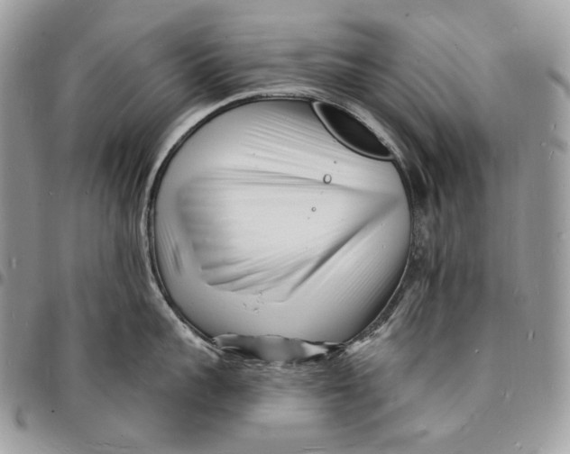 X0000096390959200802141452