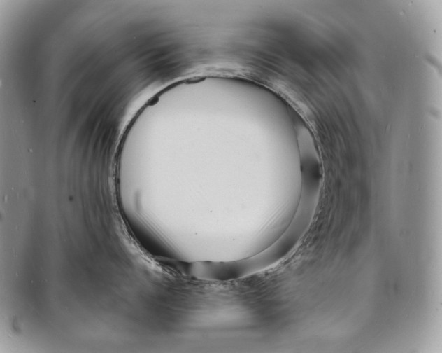X0000096390960200802141452
