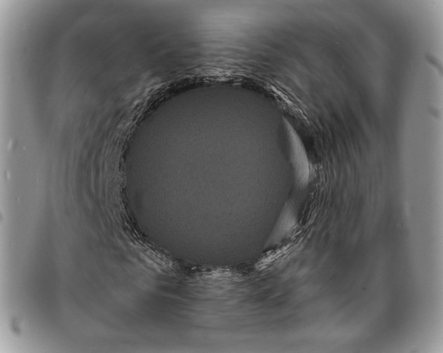 X0000096390961200802141451