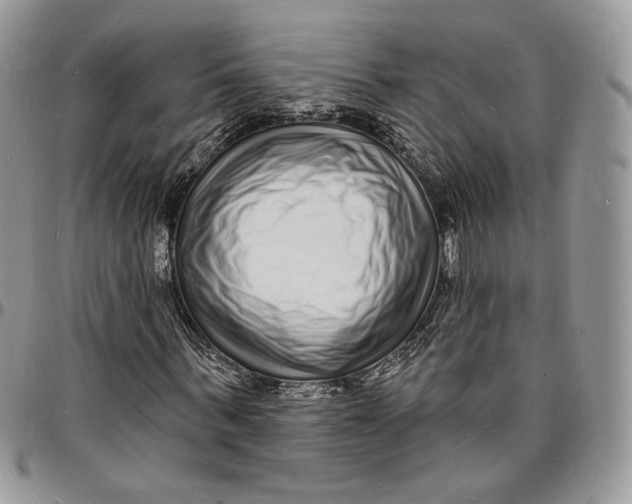 X0000096390963200802141451