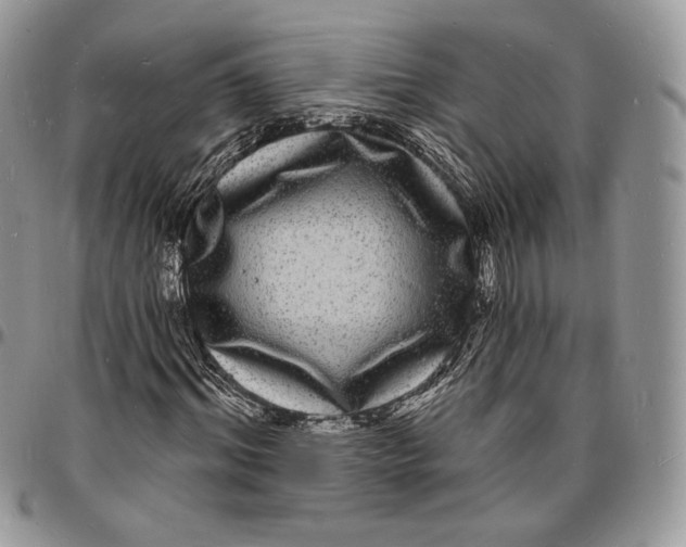 X0000096390964200802141451