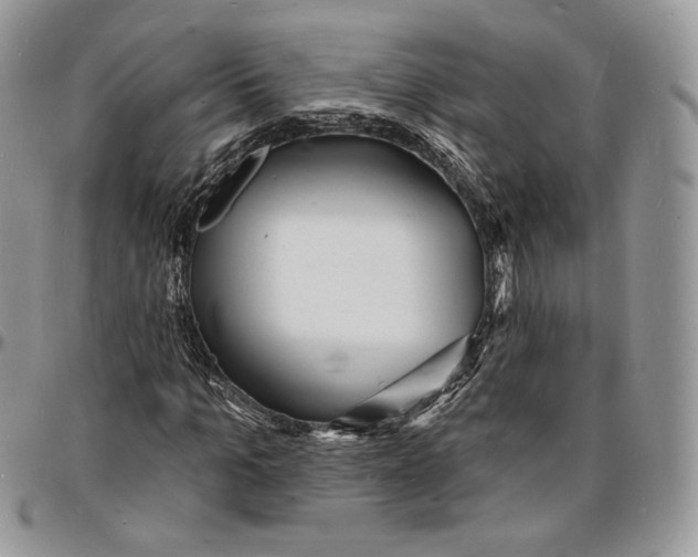 X0000096390965200802141451