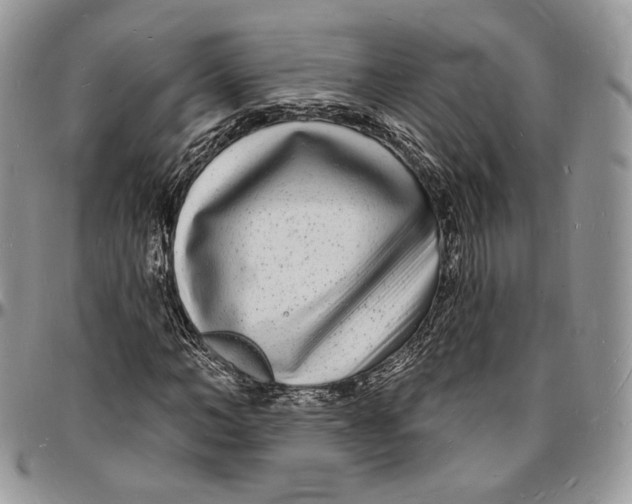 X0000096390966200802141451
