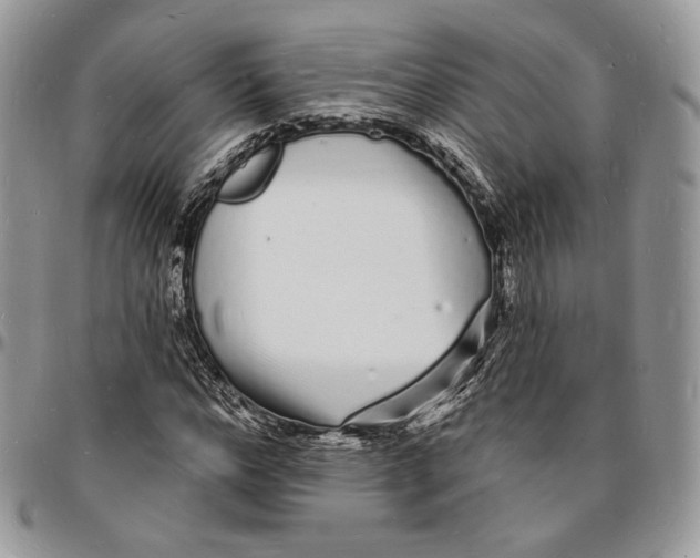X0000096390968200802141451