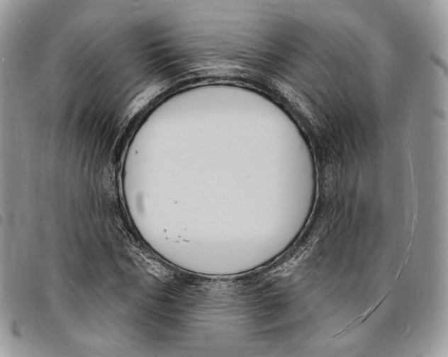 X0000096390970200802141451