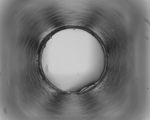 X0000096390971200802141451