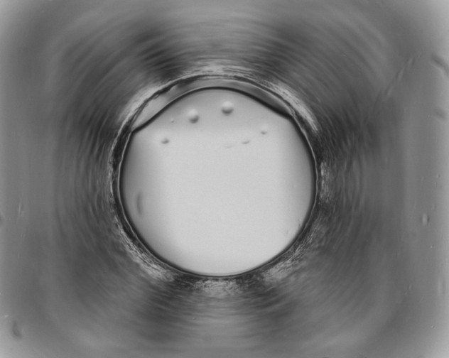 X0000096390972200802141451