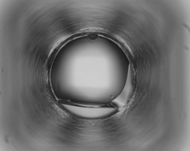 X0000096390973200802141451