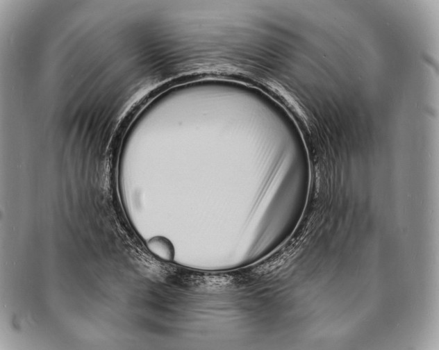 X0000096390975200802141451