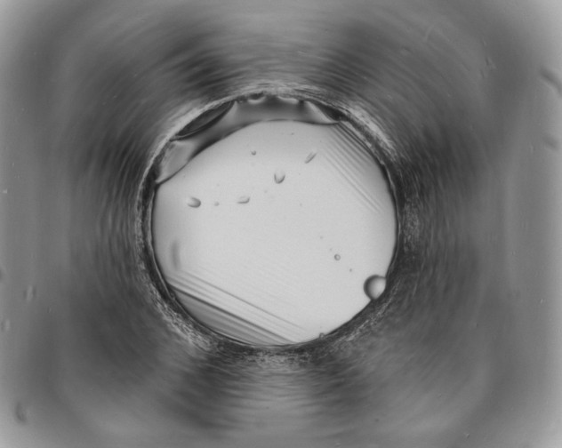 X0000096390976200802141451