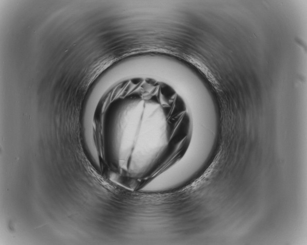 X0000096390977200802141451